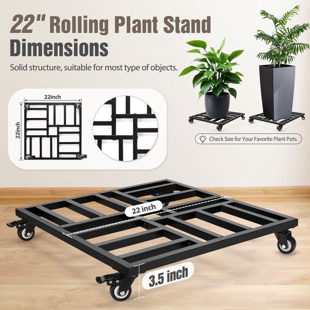 AugFir two caddies side by side demonstrating value of 2-pack and scale benefit