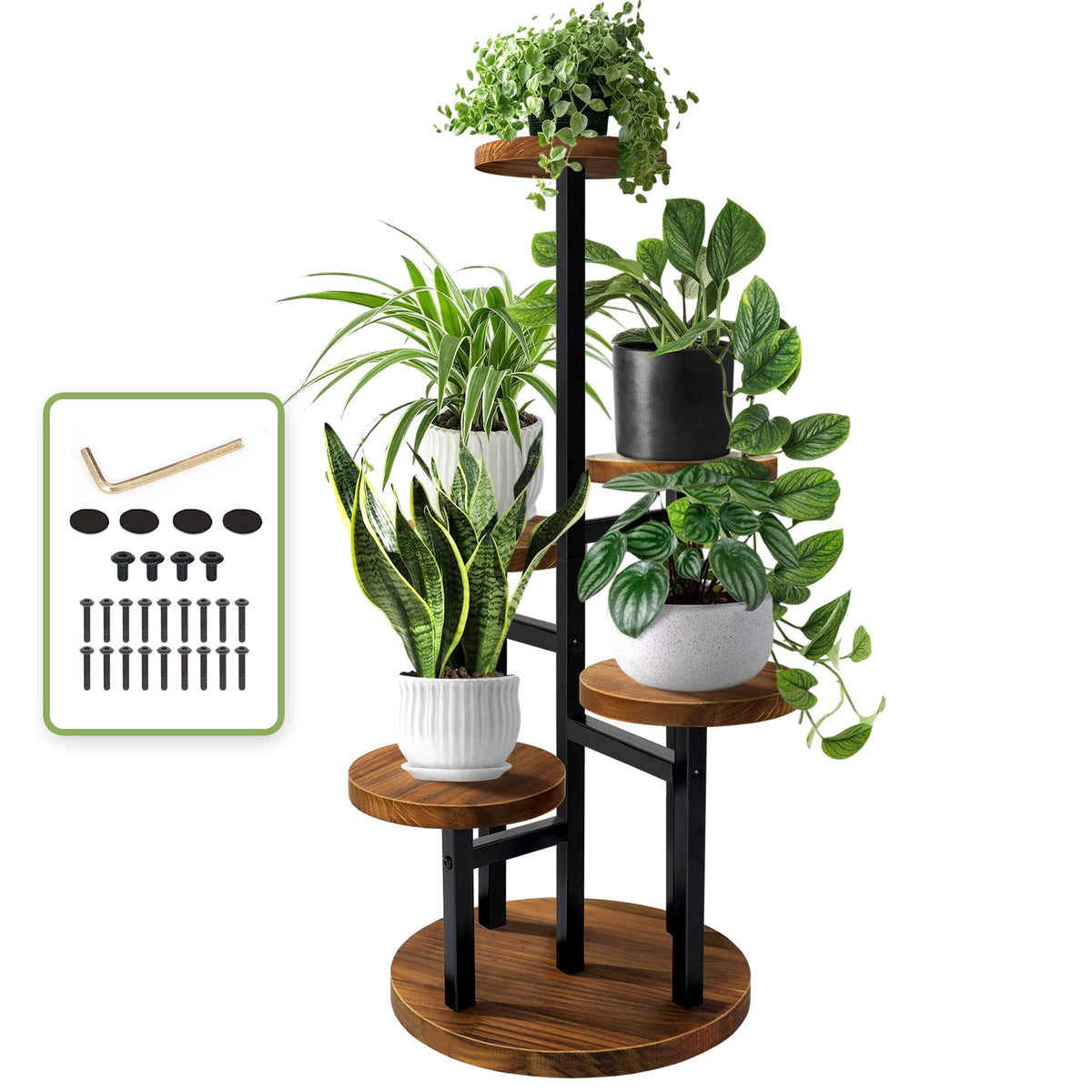 AUGOSTA front view plant stand showing vertical display benefit