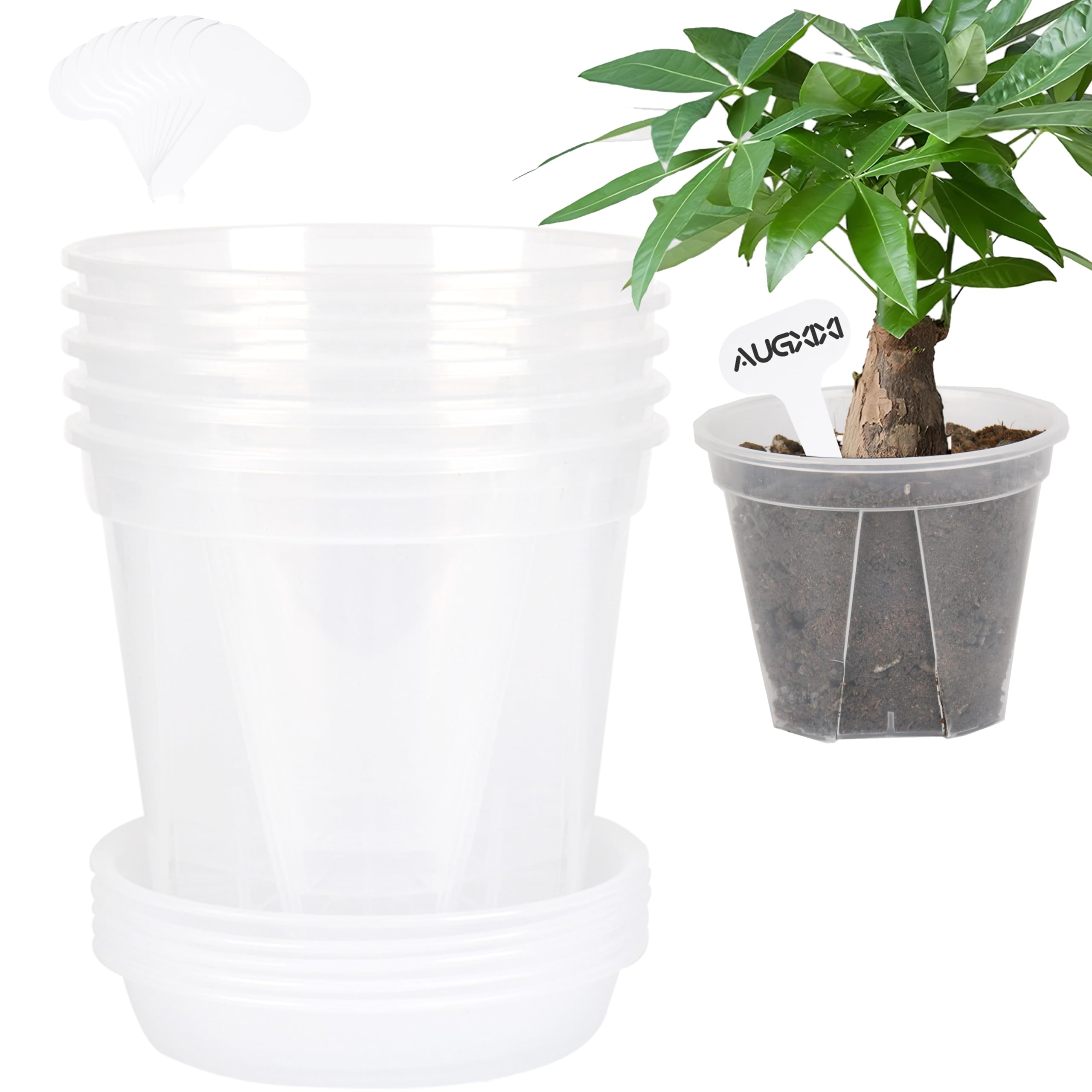AUGXIXI pots styled on a windowsill with plants to illustrate attractive indoor display