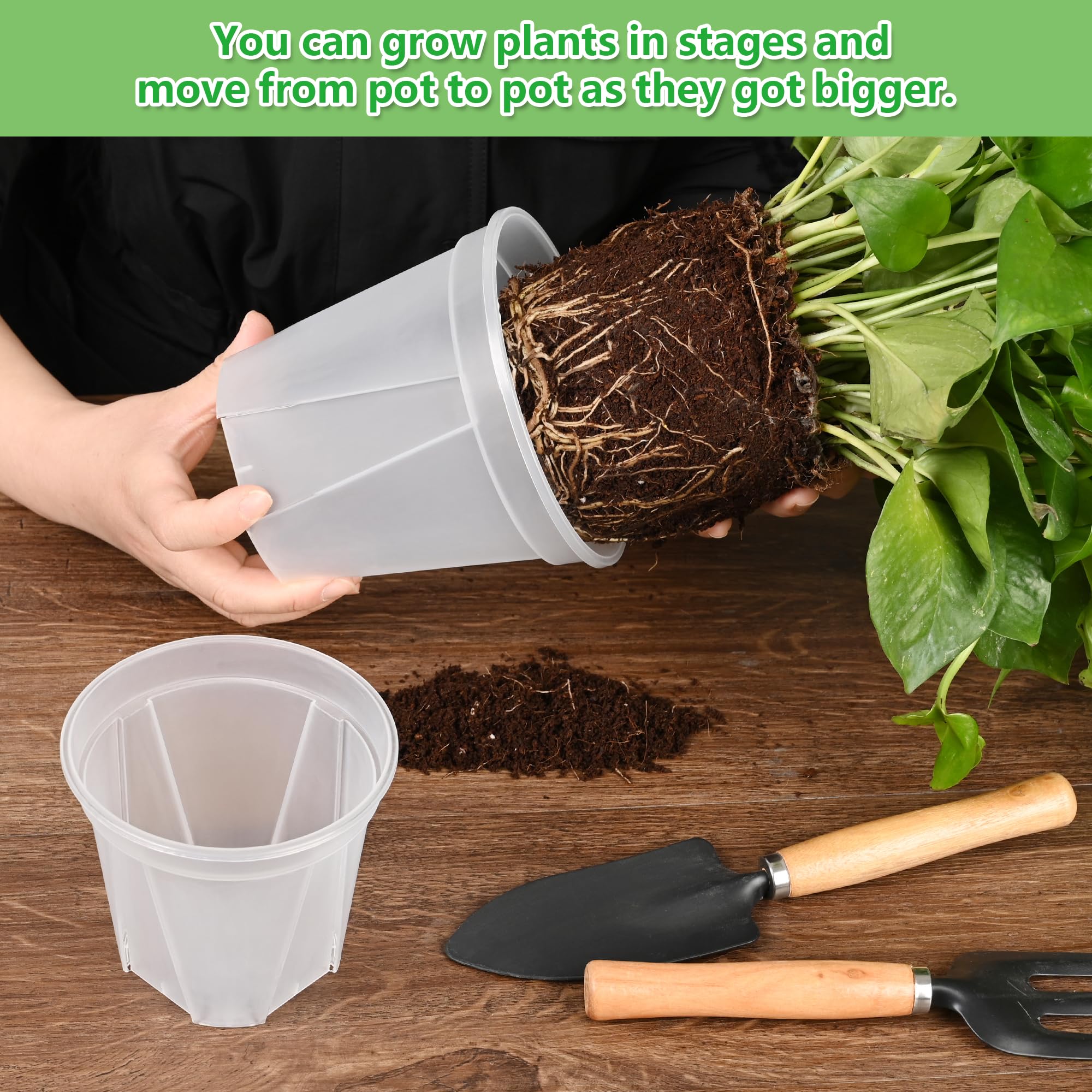 AUGXIXI saucer catching runoff on table to protect surfaces and keep areas dry