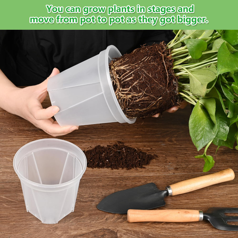 AUGXIXI saucer catching runoff on table to protect surfaces and keep areas dry