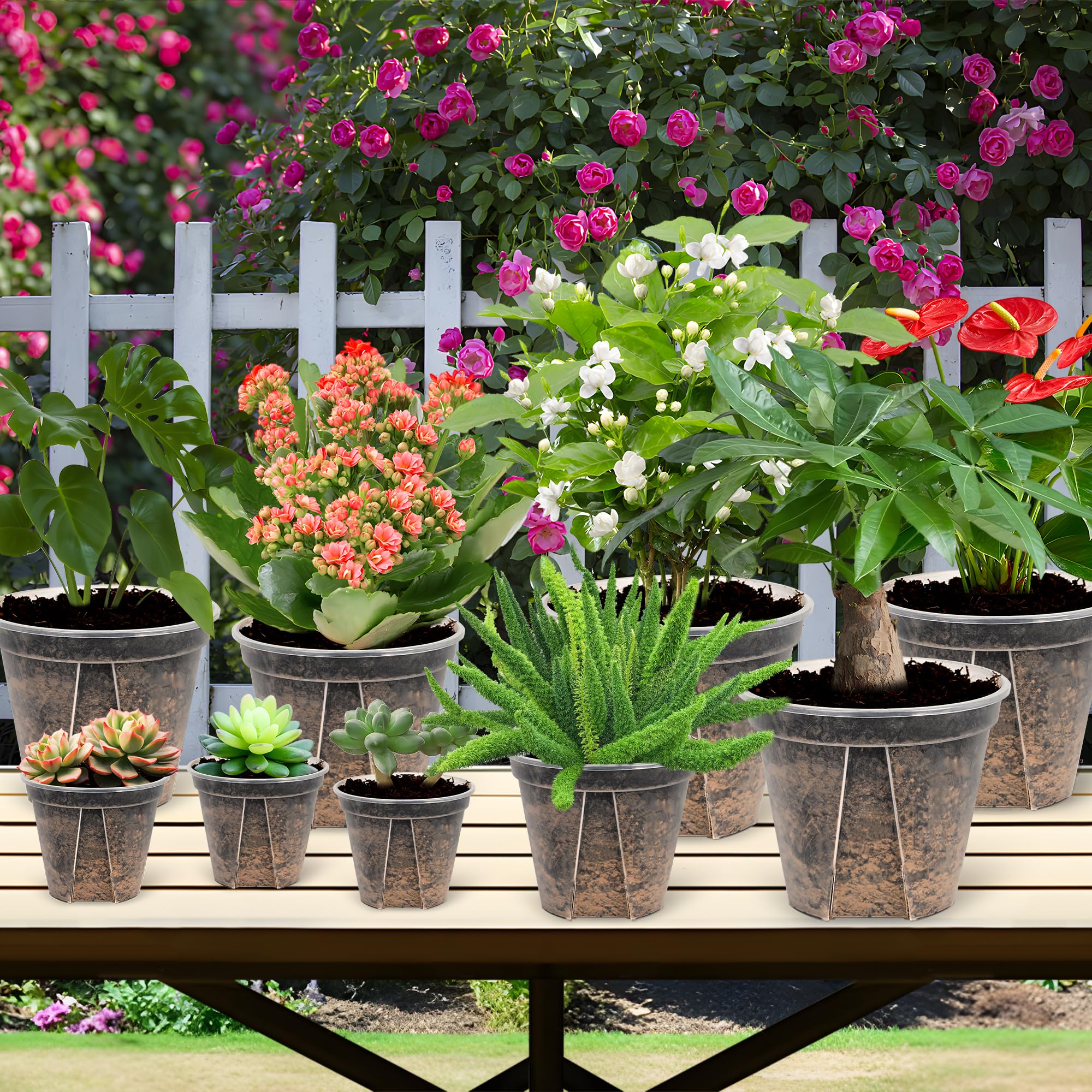 AUGXIXI pot beside common planter to show 8-inch scale for quick size comparison