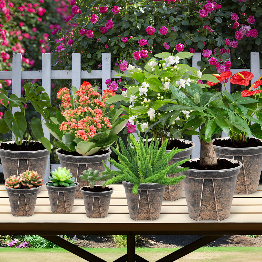 AUGXIXI pot beside common planter to show 8-inch scale for quick size comparison