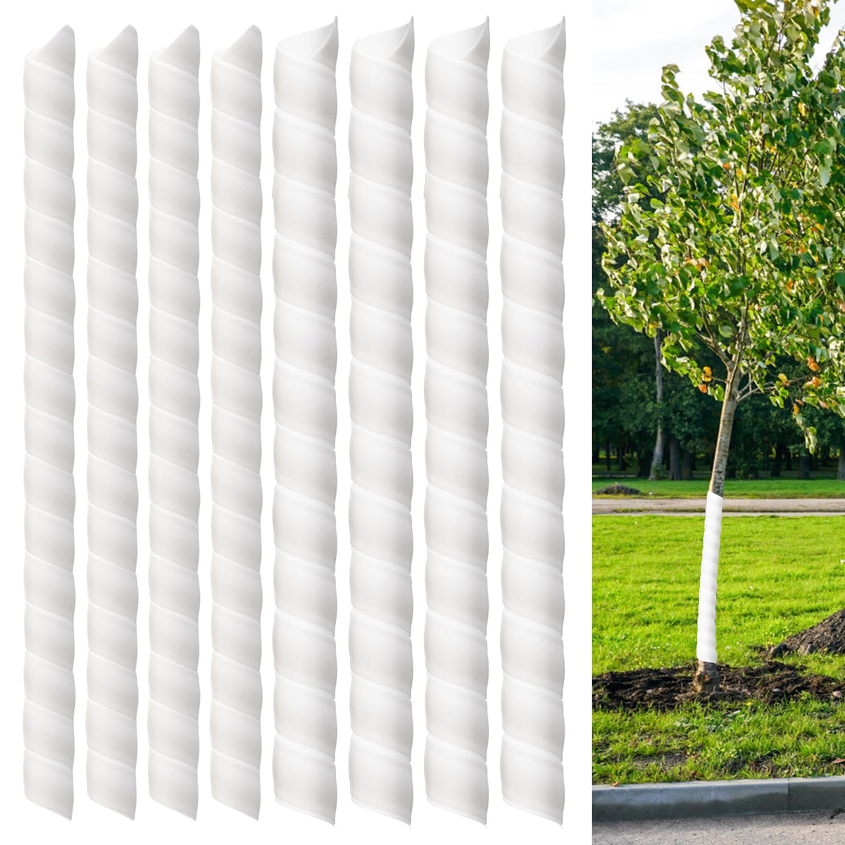 Aukney front packaging showing eight white spiral tree protectors and sizes