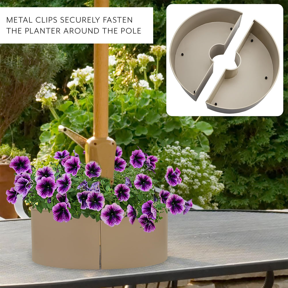 AuldHome Design planter filled with succulents showing compact, attractive planting