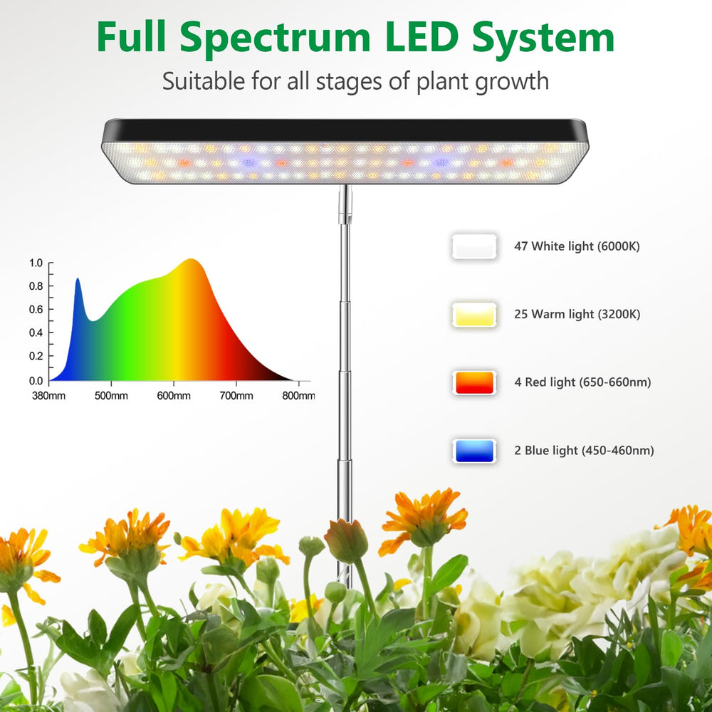 Aumtrly lamp extended to show adjustable height from desk to tall plant providing correct light distance