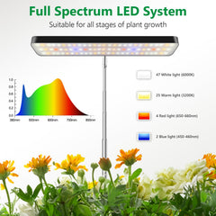 Aumtrly lamp extended to show adjustable height from desk to tall plant providing correct light distance