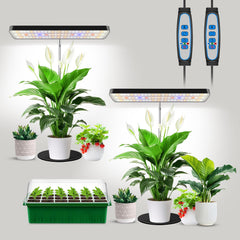 Aumtrly grow light front view showing sleek black lamp and rectangular head for broad coverage