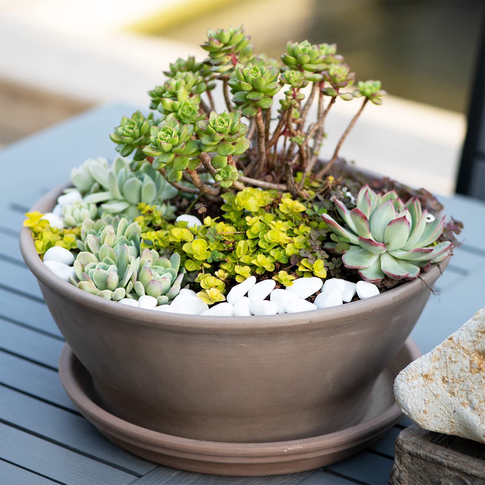 Ausluru pebbles settled on aquarium floor improving aesthetics and stability