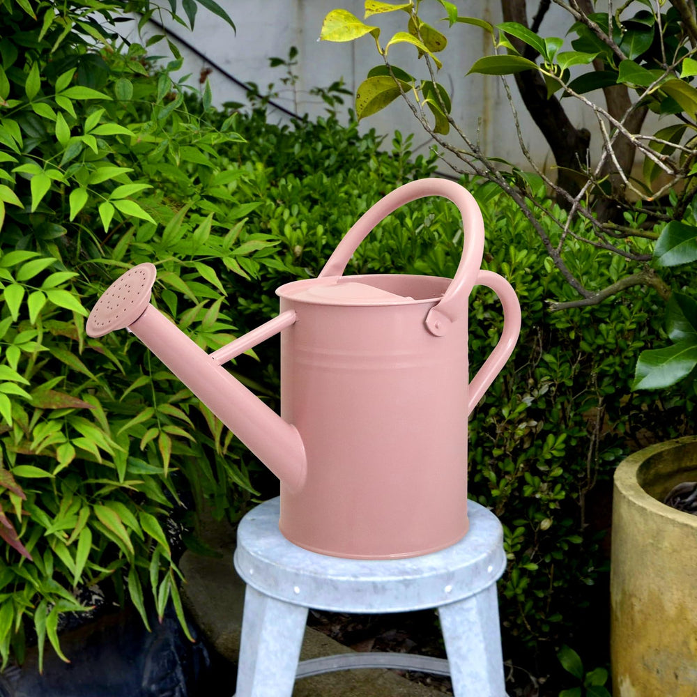 Ausluru watering can in use on hanging plant for gentle, precise watering