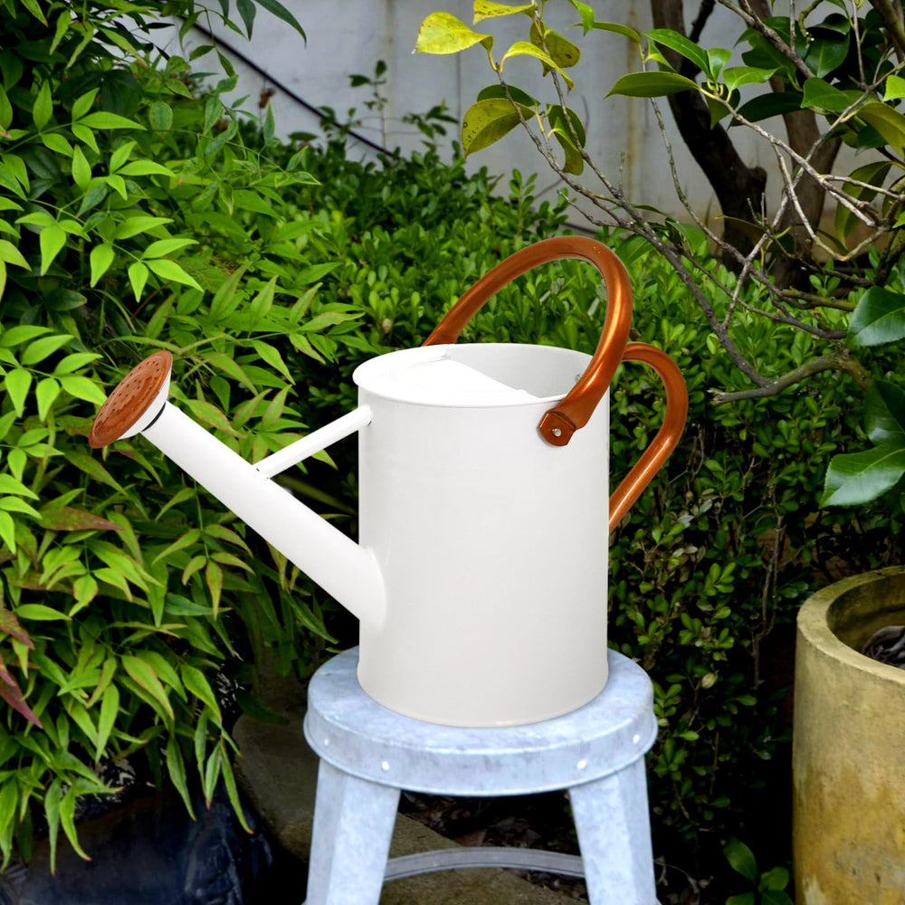 Ausluru in use watering indoor plant providing gentle, even hydration