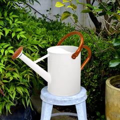 Ausluru in use watering indoor plant providing gentle, even hydration