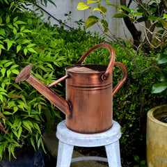 Ausluru watering can in use on a windowsill for precise indoor plant care
