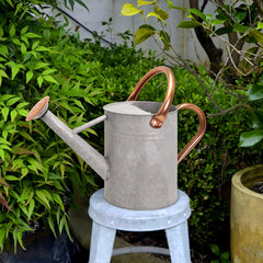 Ausluru pouring into indoor plant pot demonstrating targeted watering to protect roots