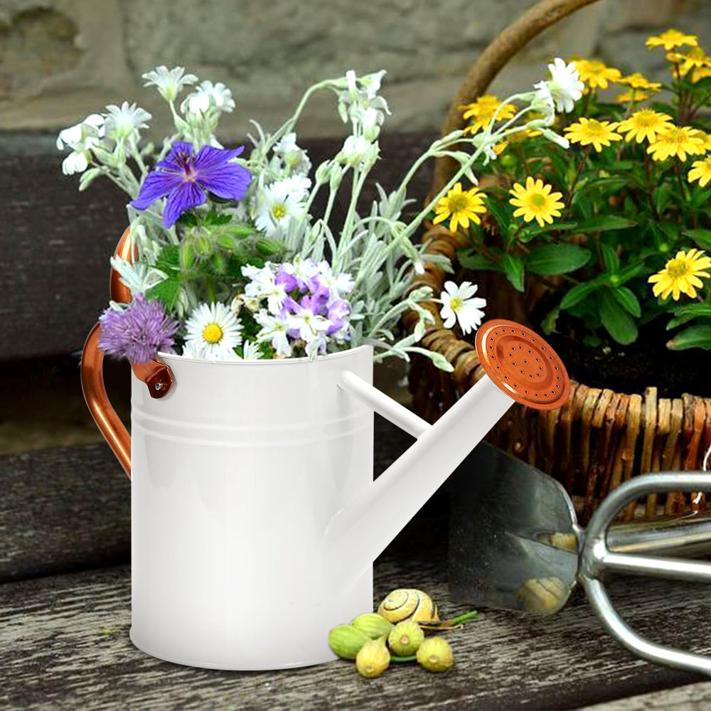 Ausluru size comparison next to pot demonstrating compact 1-gallon capacity