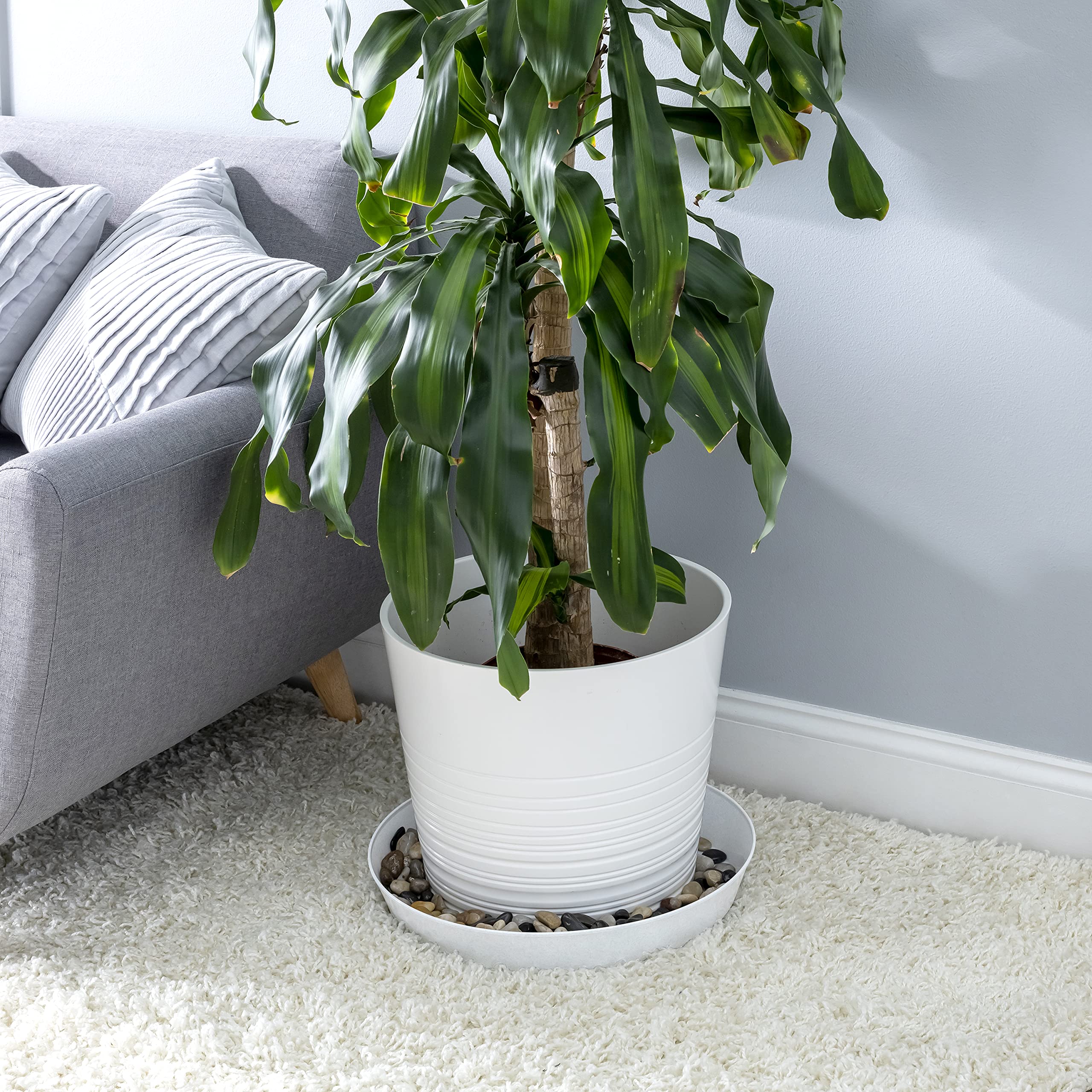 Austin Planter two-pack boxed view showing ready-to-use set