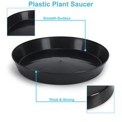 Austin Planter 21 inch saucer holding a large potted plant demonstrating drainage containment benefit