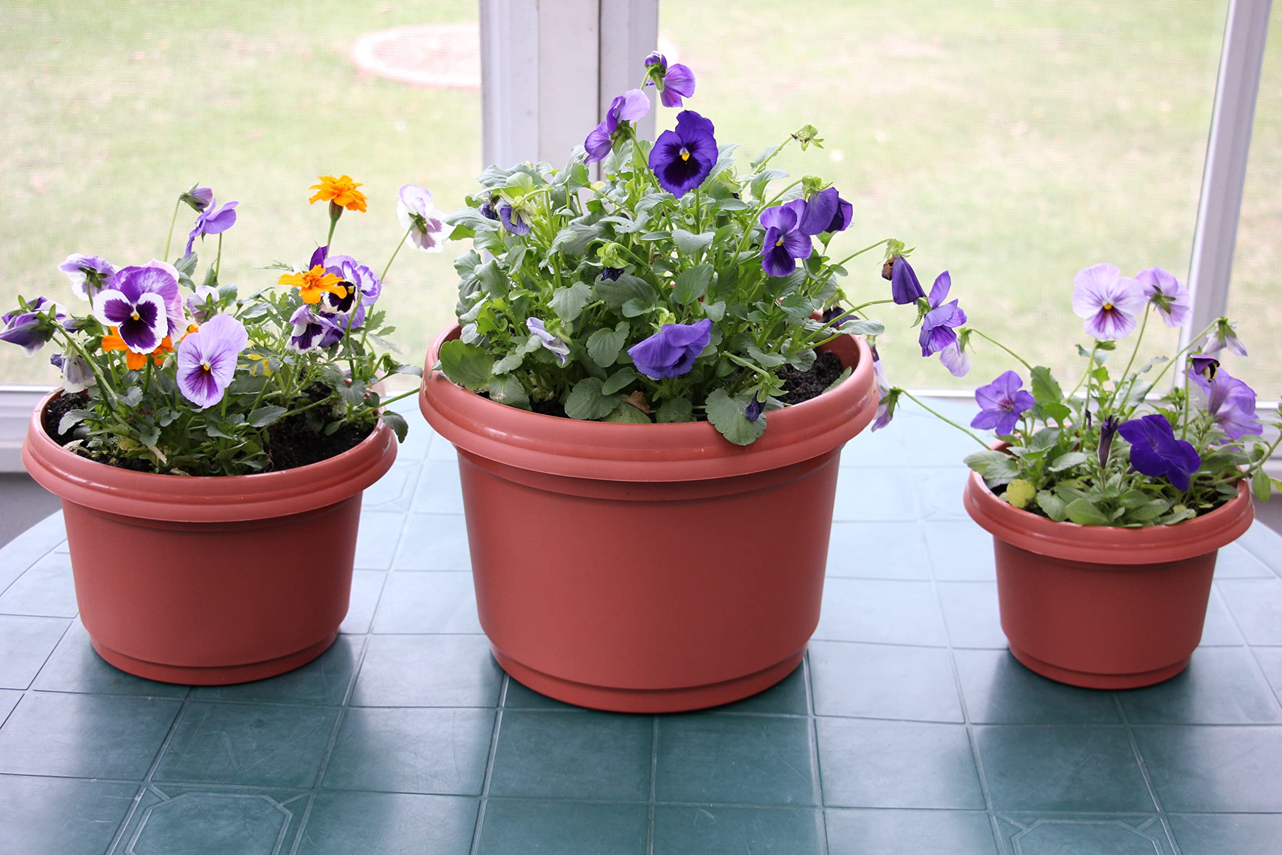 Austin Planter pot and saucer with green plant illustrating indoor and outdoor use convenience