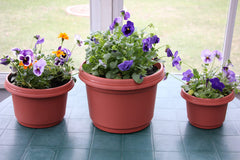 Austin Planter pot and saucer with green plant illustrating indoor and outdoor use convenience