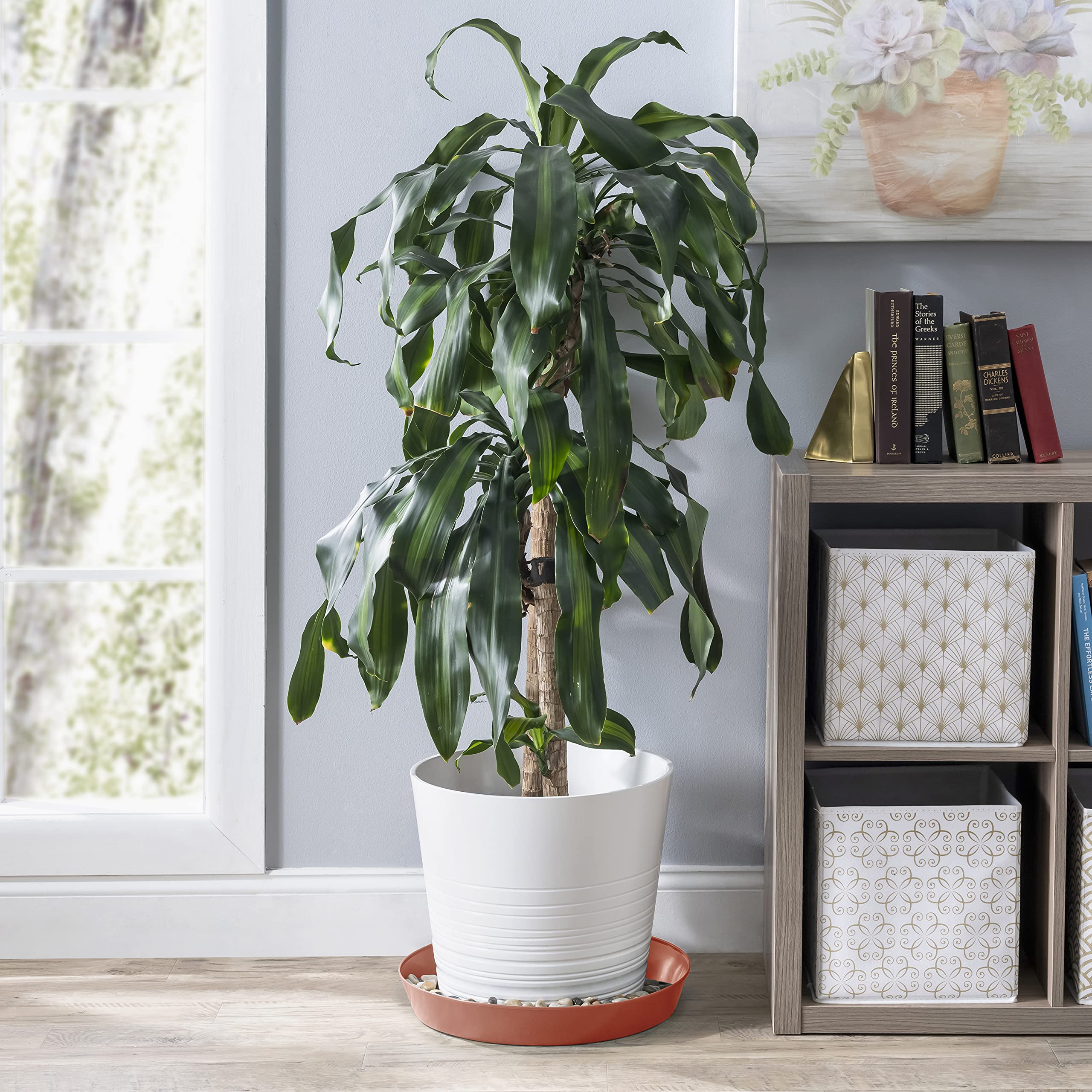 Austin Planter five saucers stacked together to show space-saving storage and bulk packaging