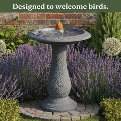 Austram birdbath bowl close-up with waterline showing textured interior and easy cleaning benefit