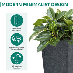AUTO DAYA planter holding a shrub demonstrating stable planting and visual height