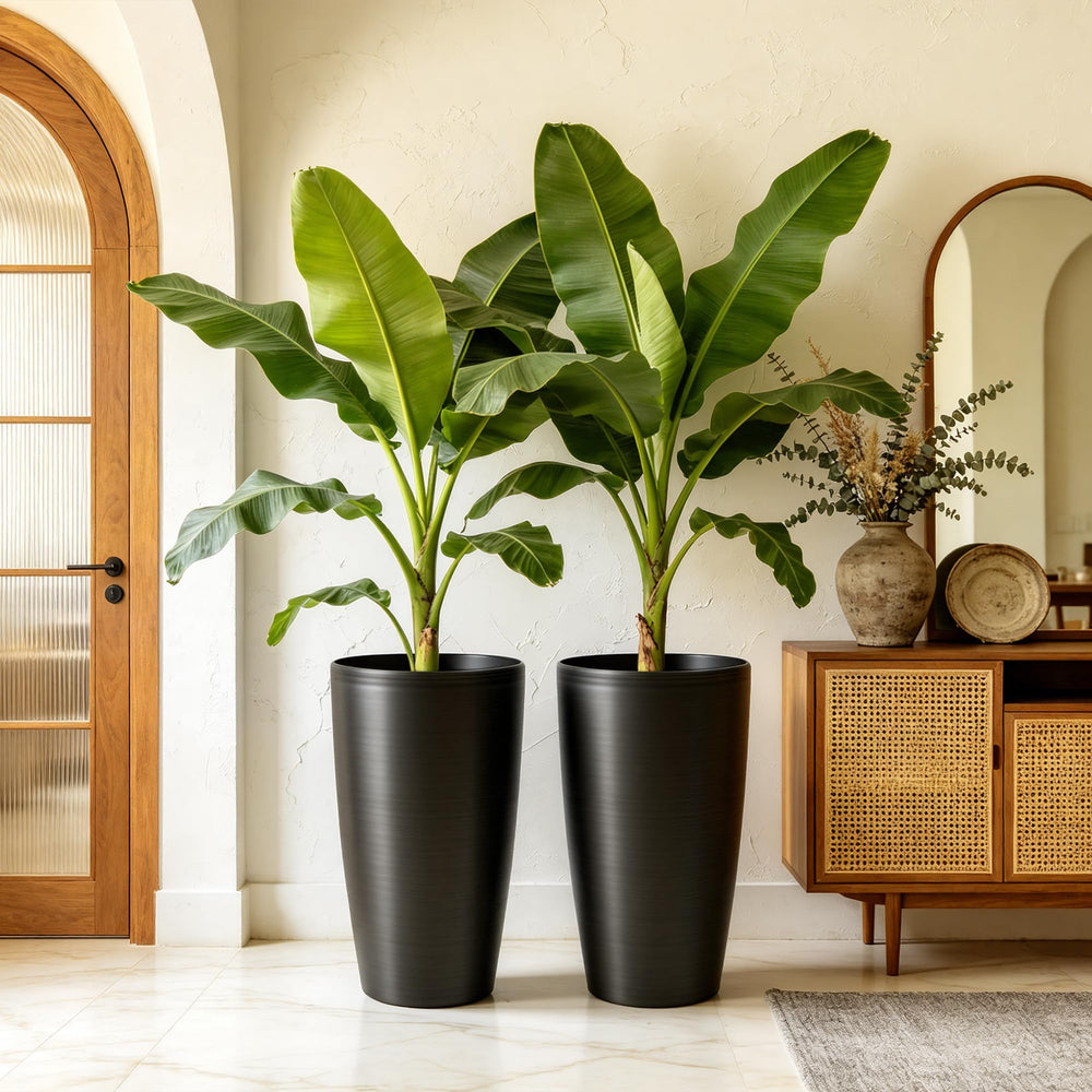 AUTO DAYA planters planted with ornamental grasses adding vertical greenery
