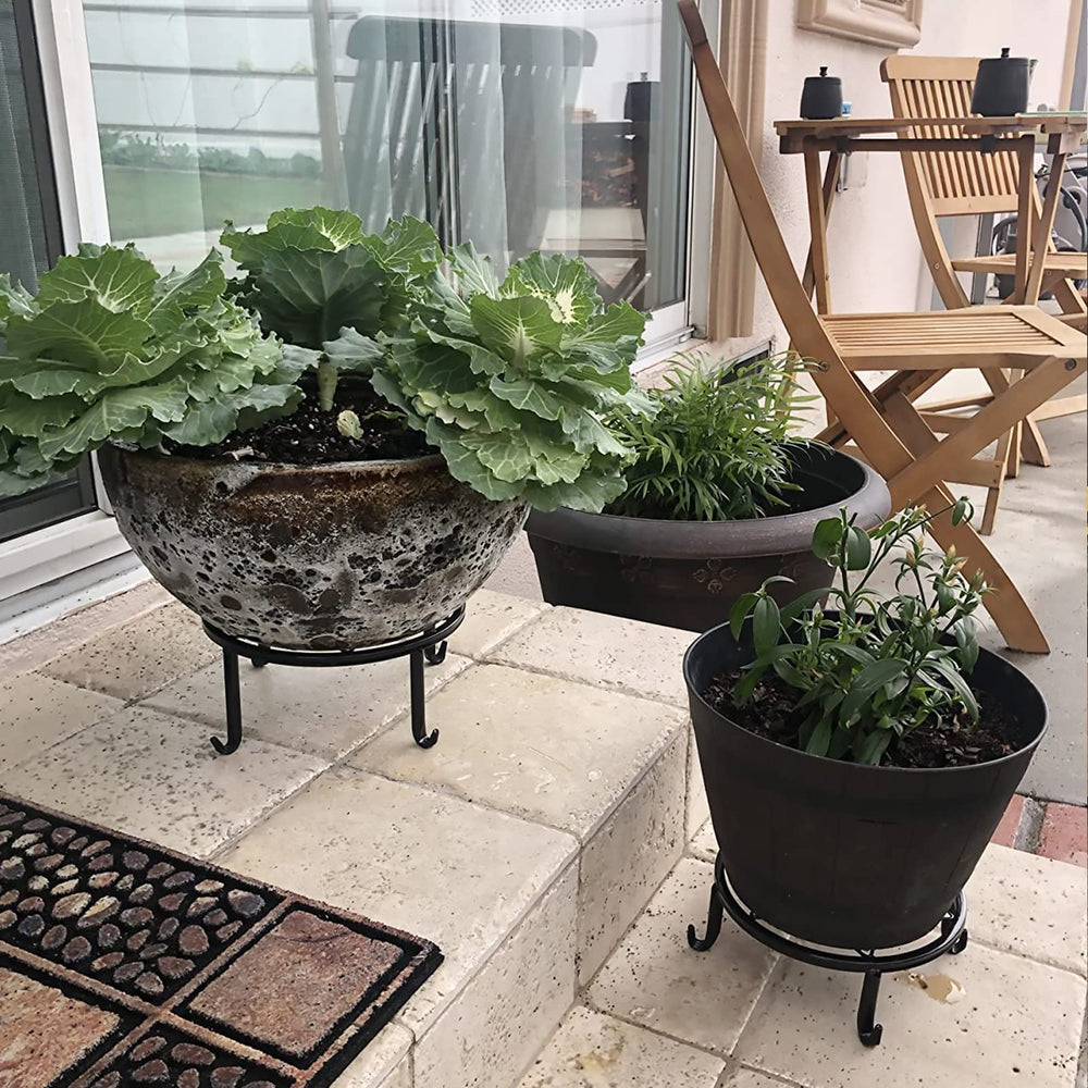 Autopromake size comparison beside common pot to show each stand's height and diameter