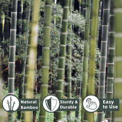 Avalution close-up bamboo grain detail highlighting durable natural strength