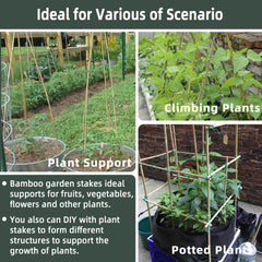 Avalution stakes joined into trellis frame for versatile garden structures