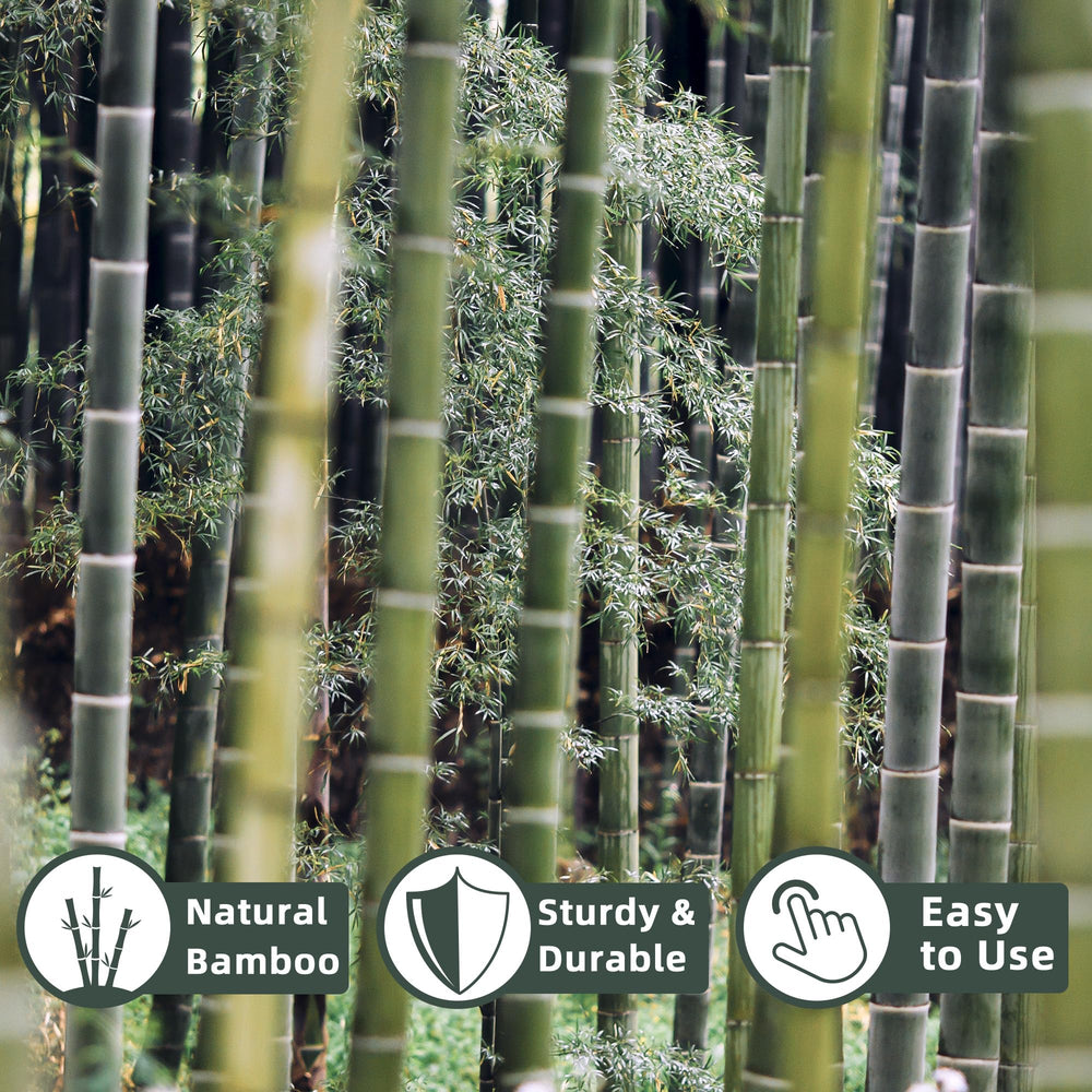 Avalution close-up of bamboo grain showing sturdy natural texture benefit