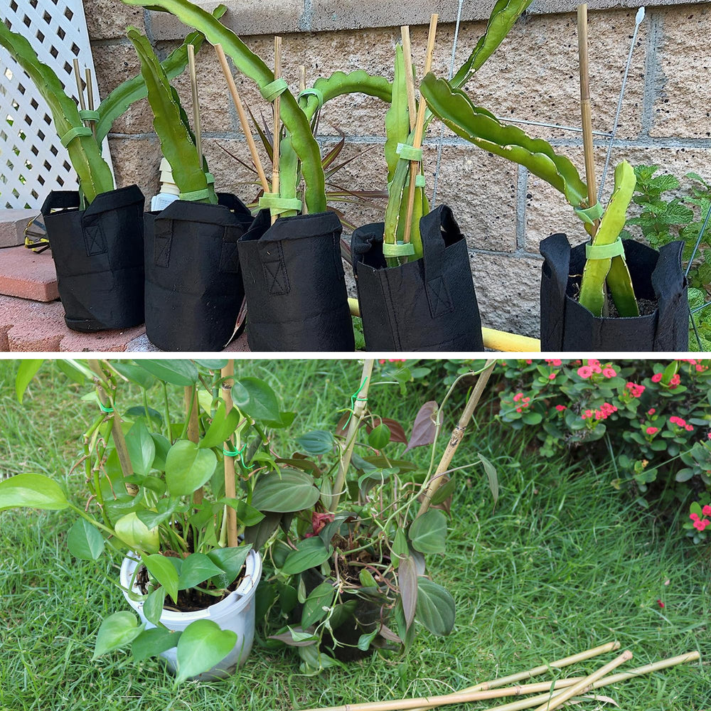 Avalution stakes in raised garden bed showing tidy plant organization benefit