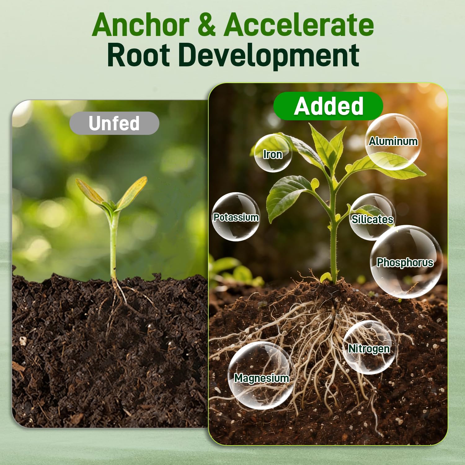 Avalution coconut coir fibers detail retaining moisture without compaction benefit