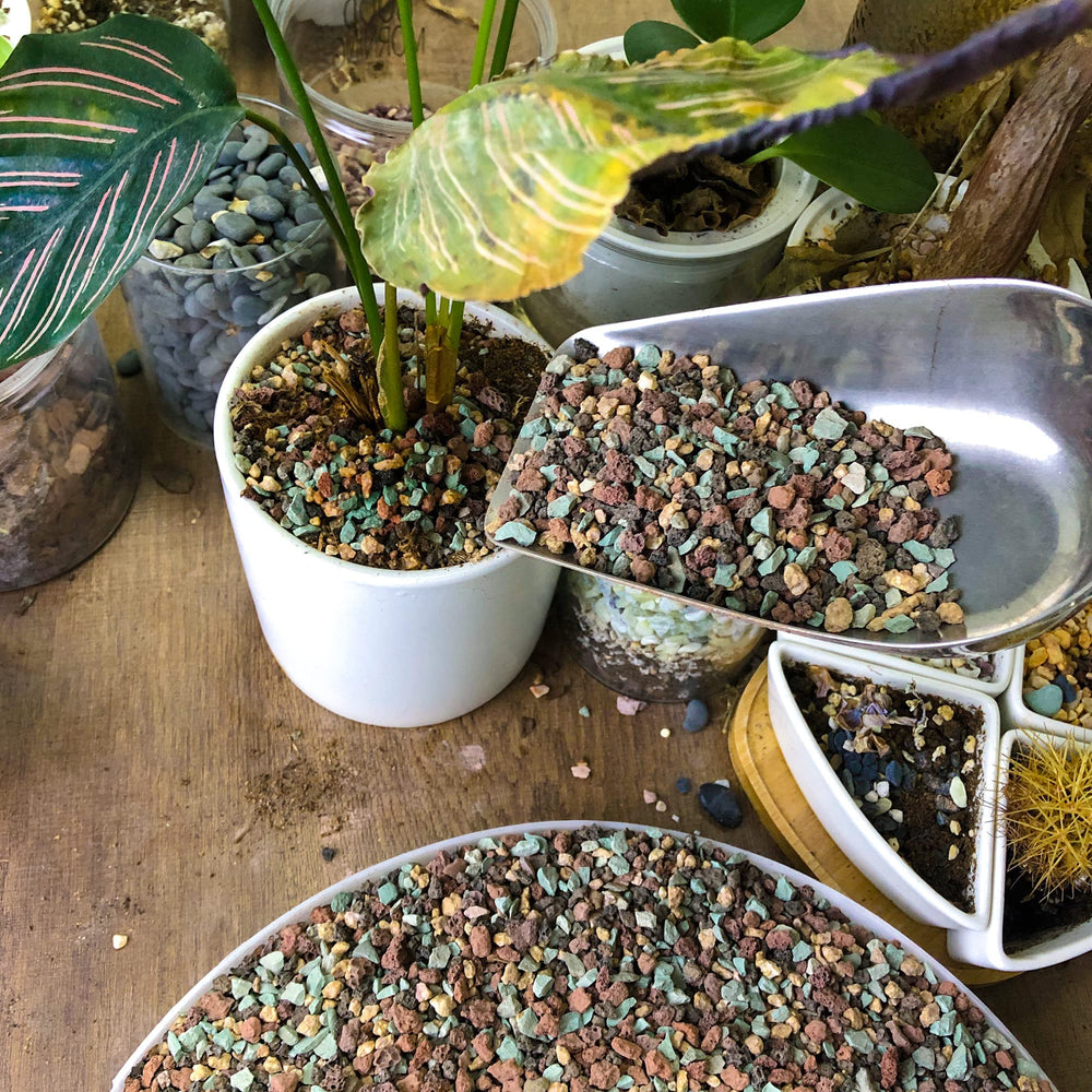 Avalution decorative gravel in fairy garden illustrating visual appeal and drainage