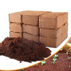 Avalution front packaging showing 9 coir bricks and benefits