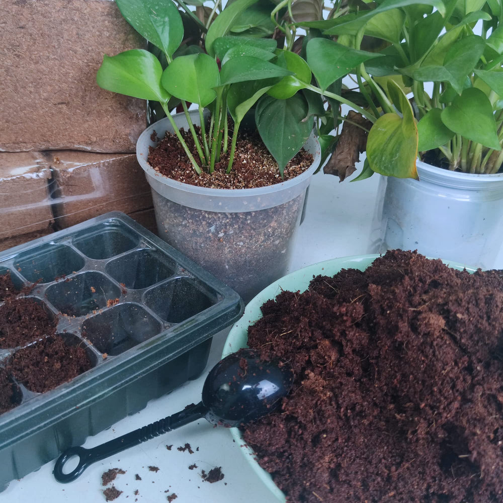 Avalution lifestyle shot with plants and bricks showing easy storage benefit