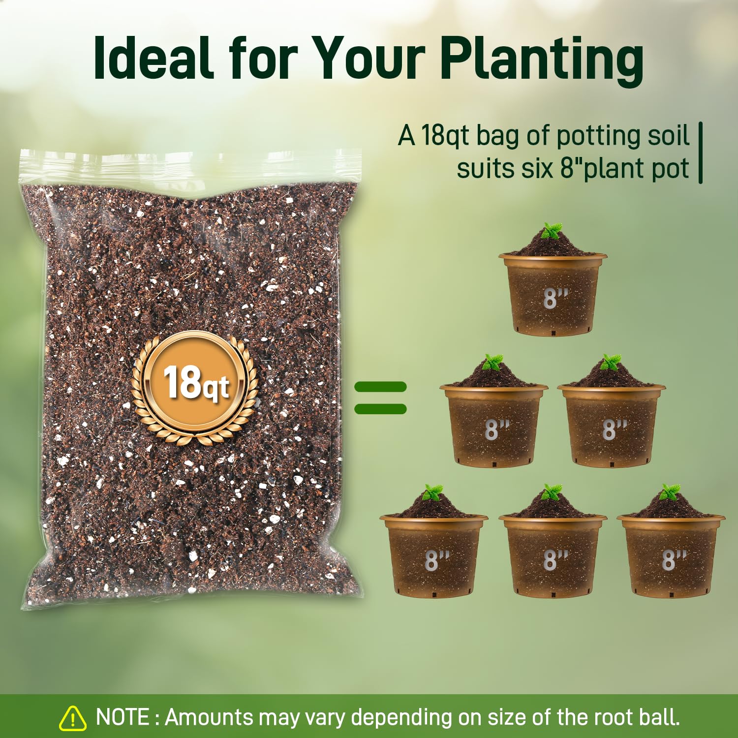 Avalution on a windowsill with potted herbs illustrating indoor gardening benefits