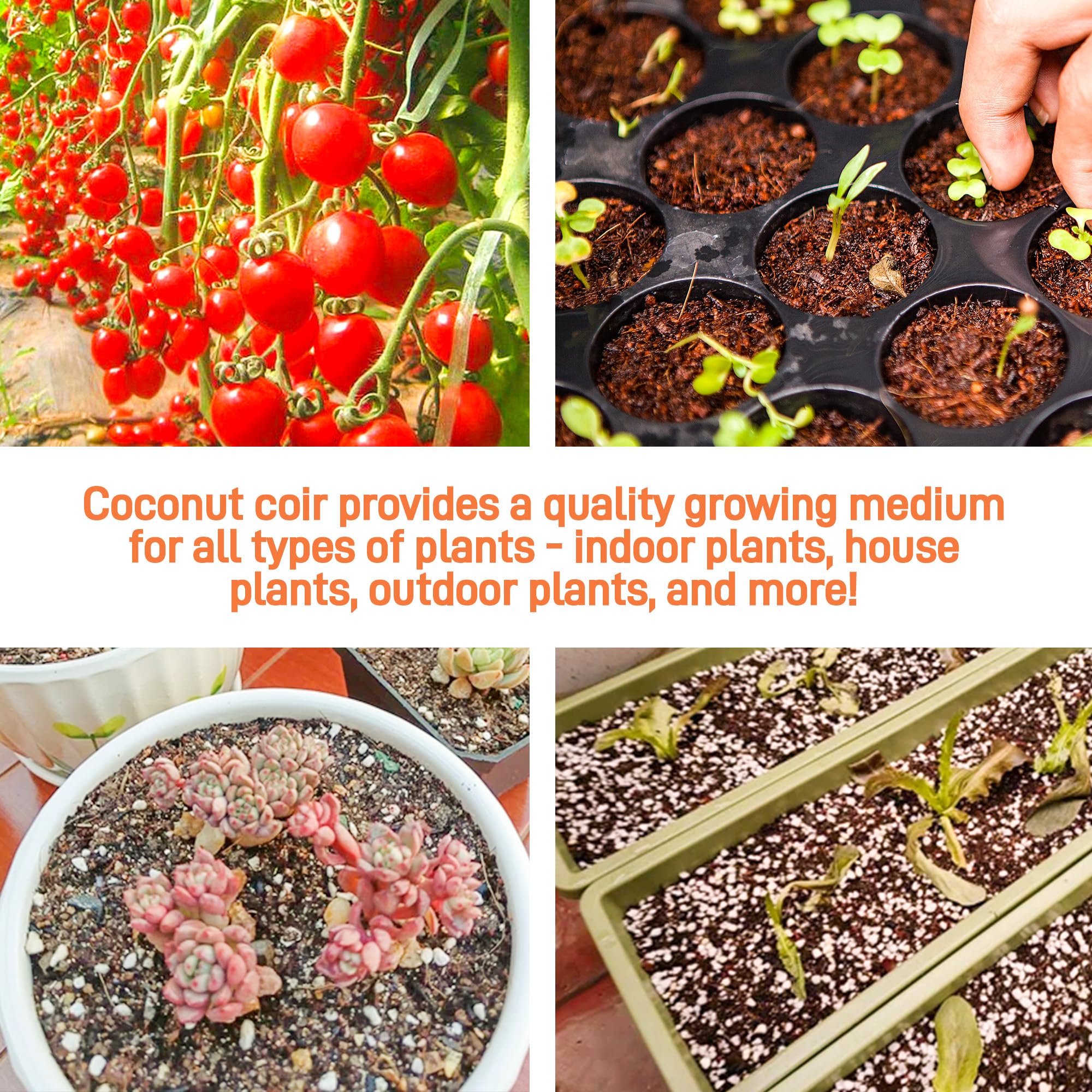 Avalution mixing coir with potting soil for improved drainage
