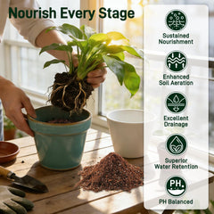 Avalution perlite and vermiculite visible for improved aeration and drainage