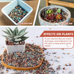Avalution mixed into potting soil demonstrating aeration and healthier roots