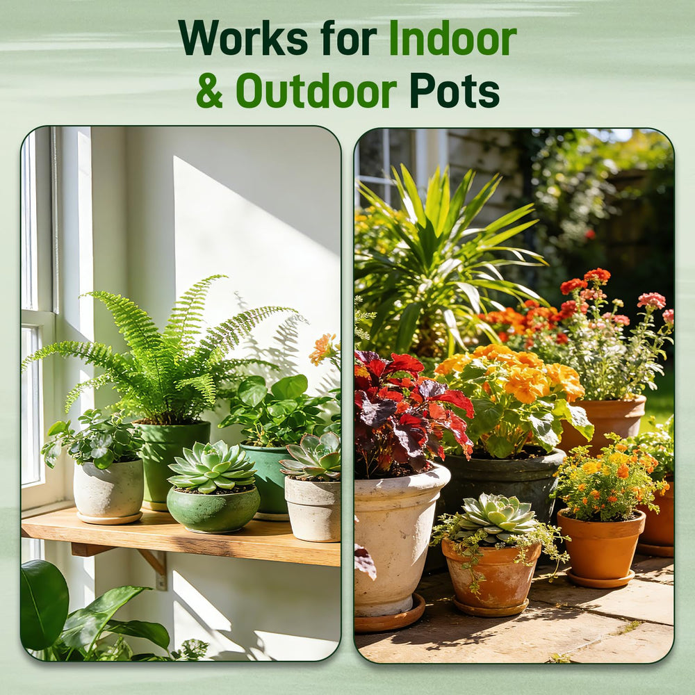 Avalution rice hull charcoal pieces helping reduce odors and improve soil structure