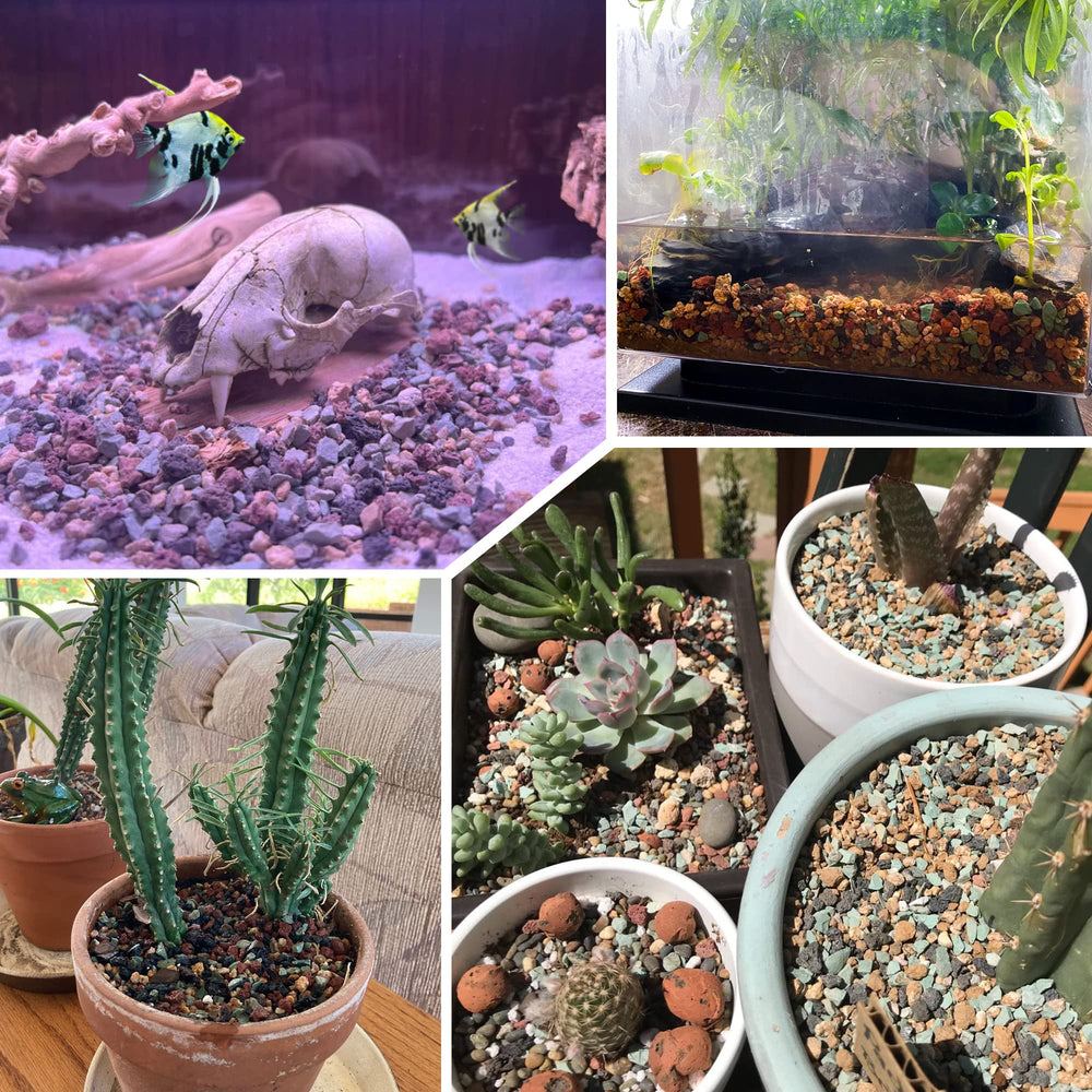 Avalution layered in terrarium for drainage and stable moisture control