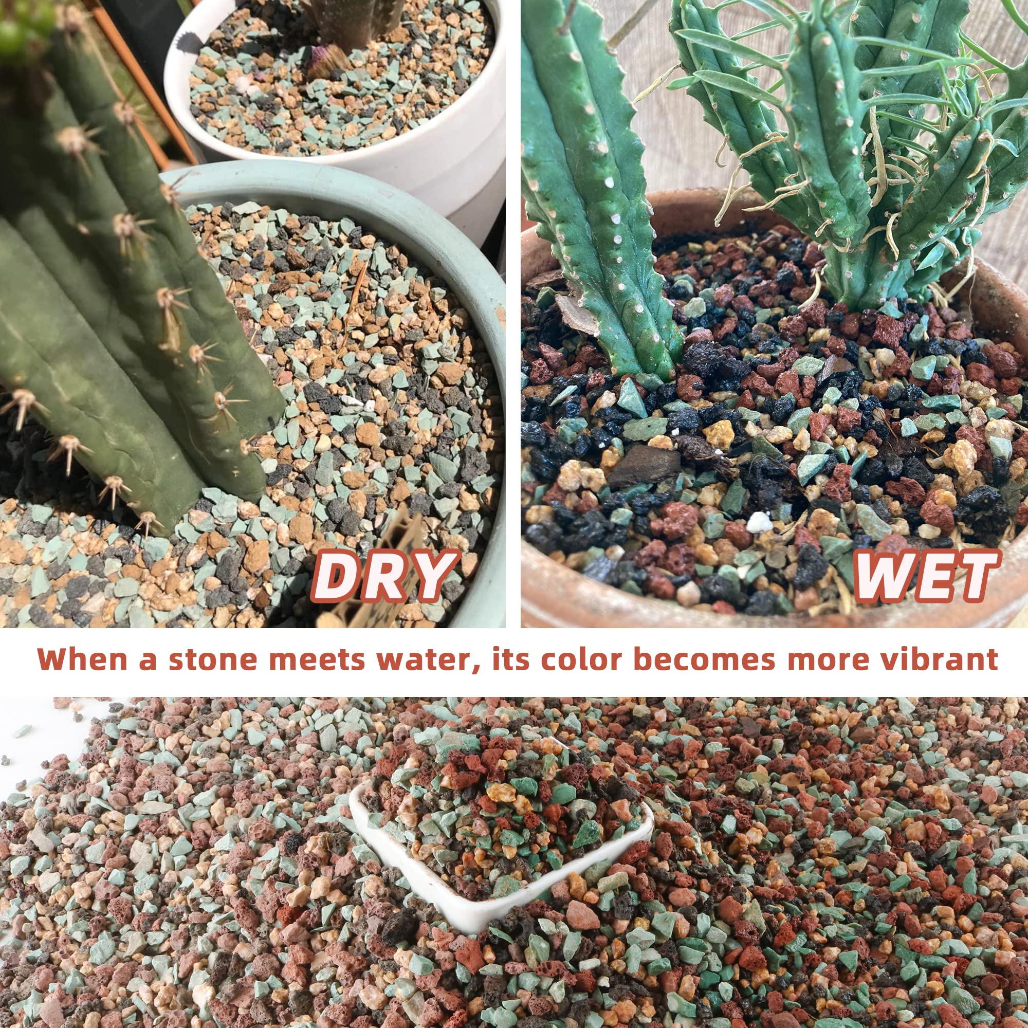 Avalution used as bonsai top-dress showing neat surface and reduced evaporation
