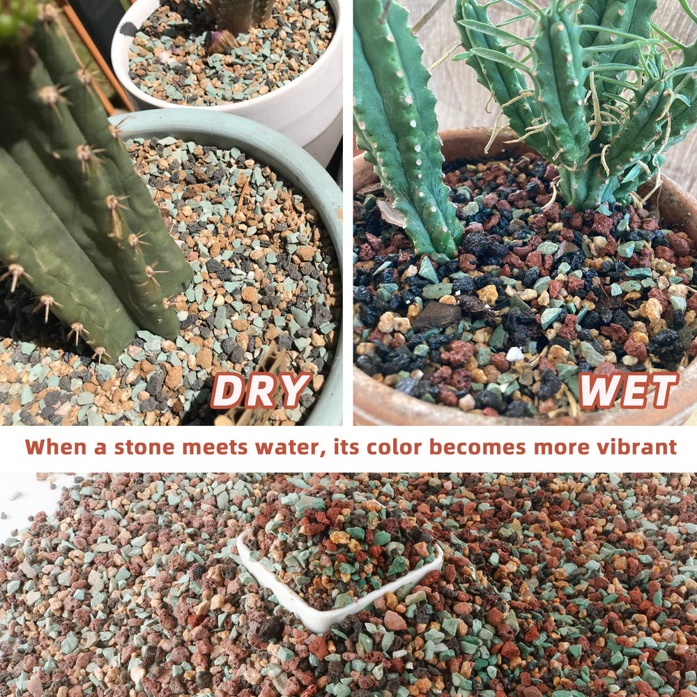 Avalution used as bonsai top-dress showing neat surface and reduced evaporation