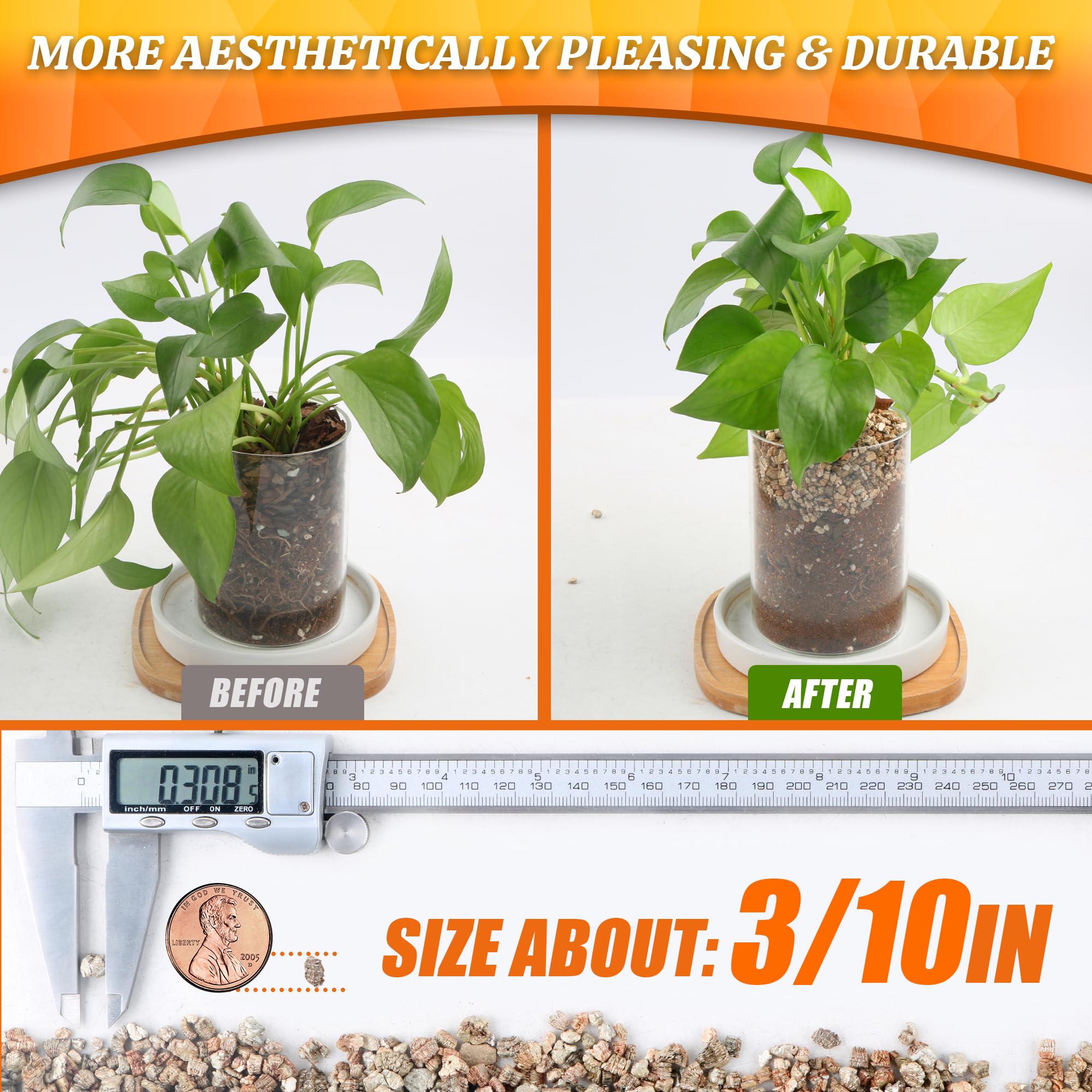 Avalution vermiculite used in seedling tray supporting young roots and stability