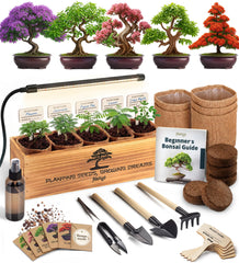 AVERGO kit box front showing contents and benefits for beginners