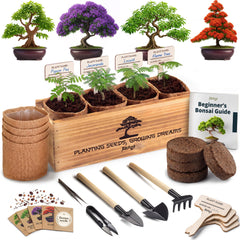 AVERGO kit front packaging showing contents and benefits