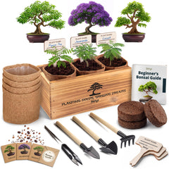 AVERGO front packaging showing full bonsai kit and benefits