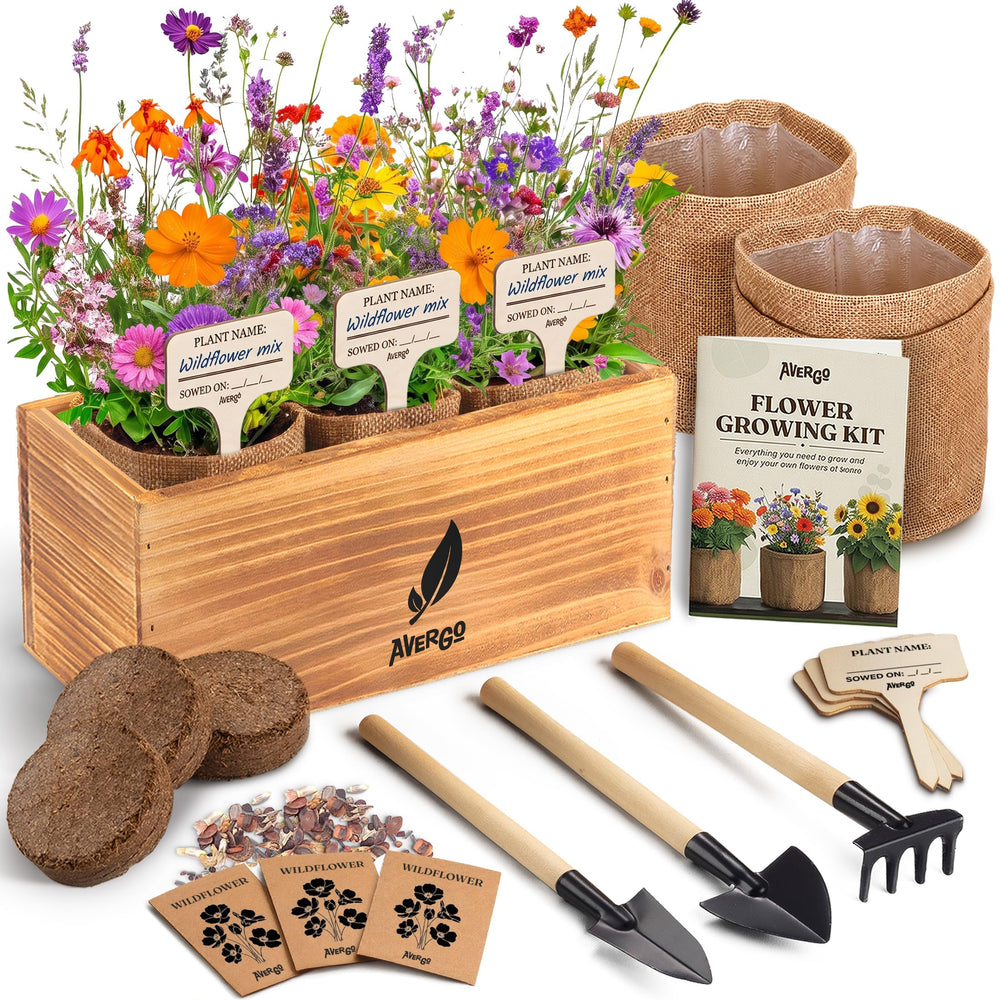 AVERGO front packaging showing complete indoor flower kit and gift-ready presentation