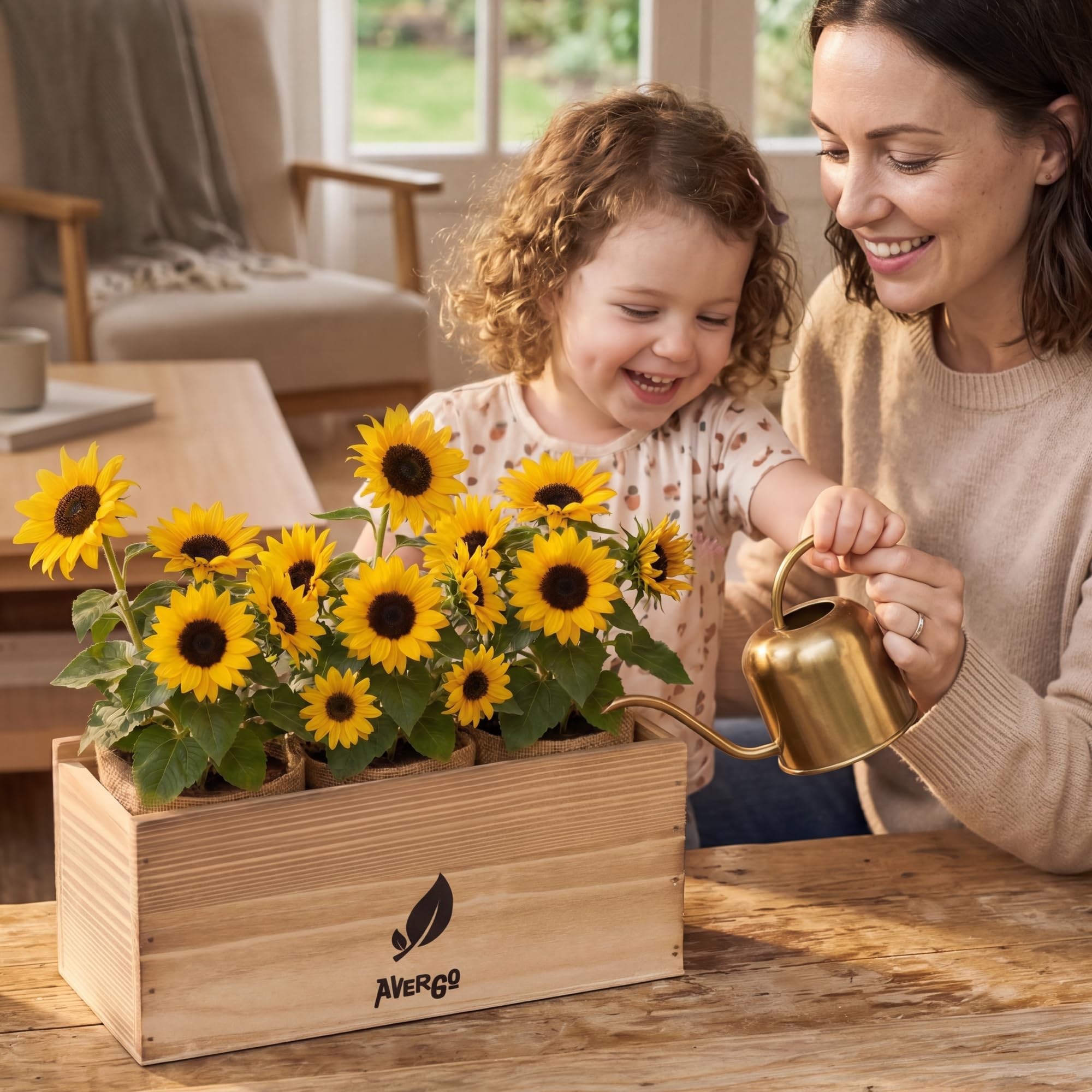 AVERGO planted kit on kitchen counter showing decorative indoor display benefit